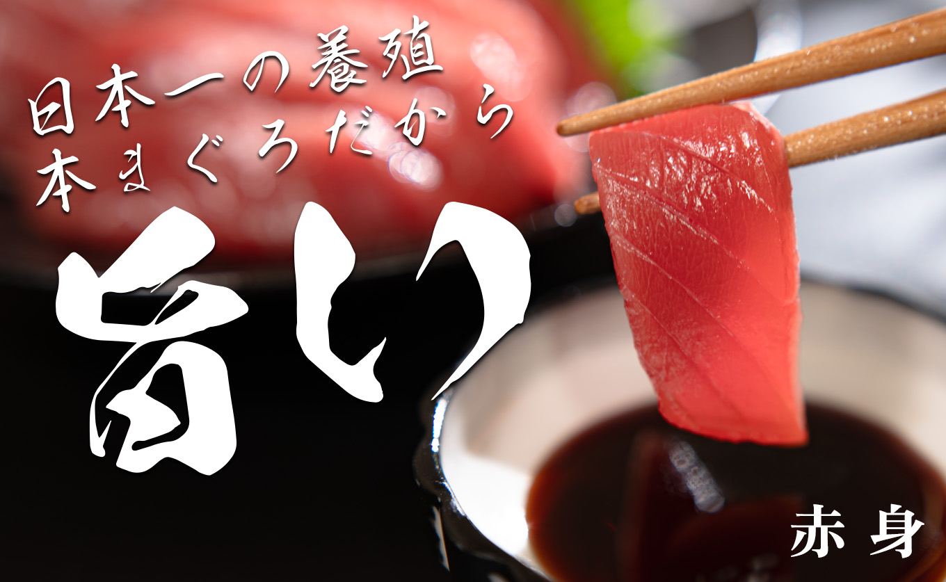 【高知県産 養殖本マグロ】赤身750g 黒潮本まぐろ｜刺身用 最優秀賞受賞 日本一 本まぐろ クロマグロ まぐろ 鮪 小分け 個包装 丼 寿司 柵 急速冷凍 解凍簡単 贈答 ギフト お祝い 父の日 年