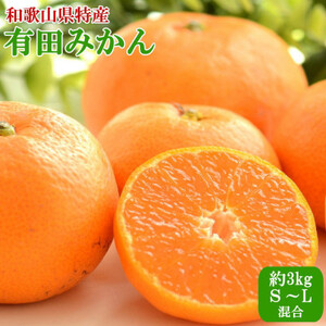 [秀品]紀州有田みかん約3kg(S～Lサイズ混合)「2025年11月中旬より順次発送」 (日高町)【1393675】