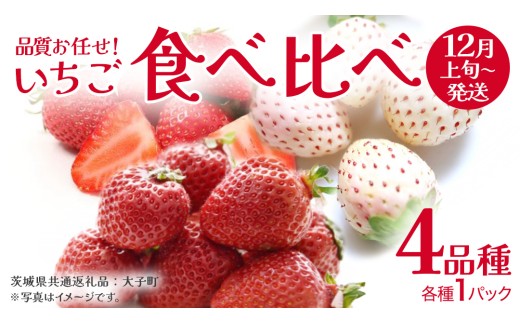 いちごの 食べ比べ 4品種×1パック【2026年12月上旬発送開始】(茨城県共通返礼品：大子町) いちご 苺 果物 フルーツ 果実