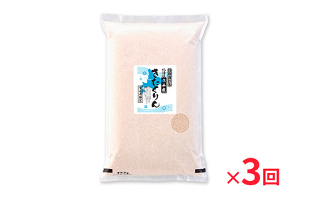 北海道赤平産 きたくりん 5kg 特別栽培米 【3回お届け】 精米 米 北海道 定期便 お米 ふるさと納税 