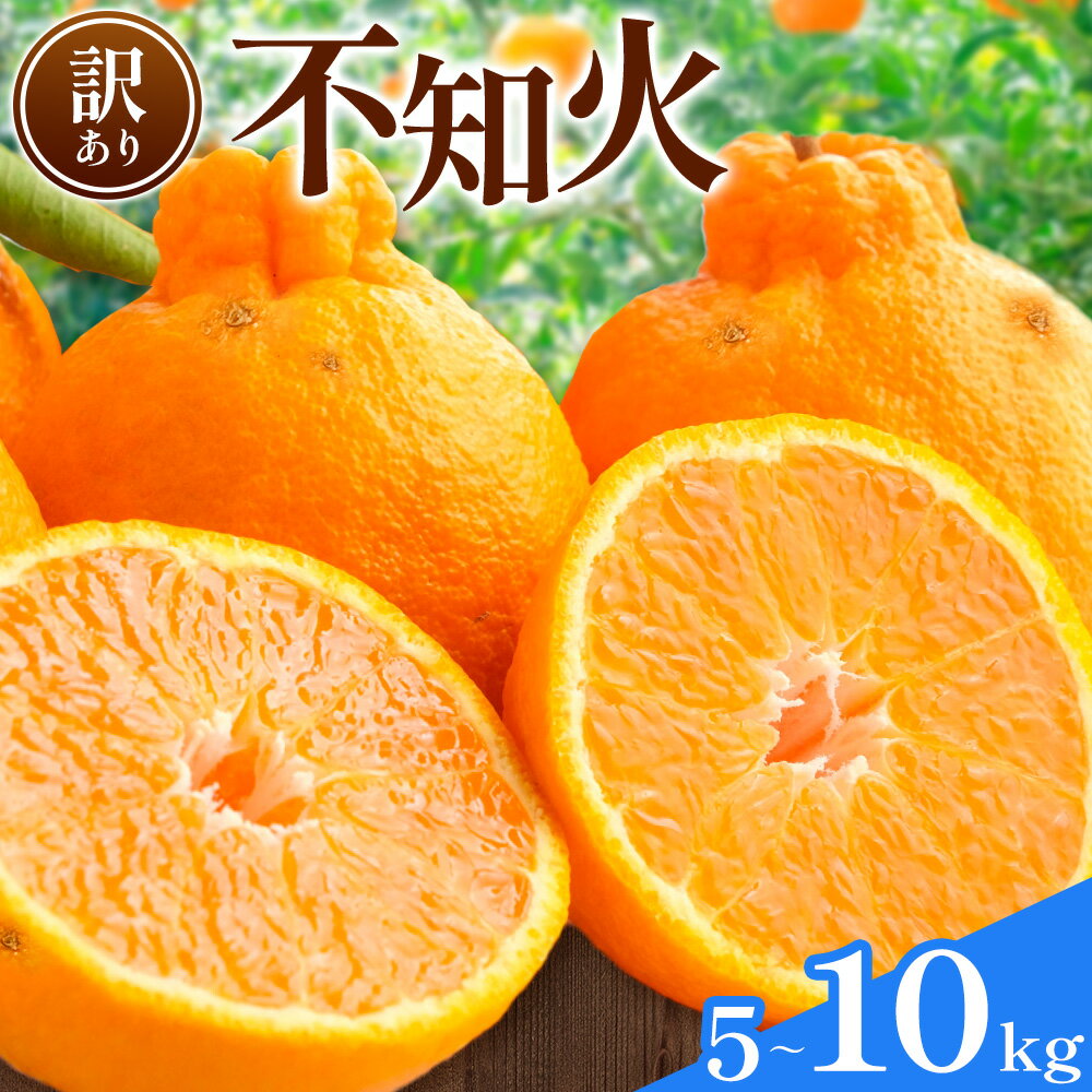 【ふるさと納税】 不知火 訳あり 選べる 5kg 10kg 中畑農園《1月下旬-2月末頃出荷》 和歌山県 日高川町 不知火 みかん ミカン 蜜柑 椪柑 フルーツ 果物 柑橘