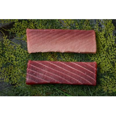 ふるさと納税 焼津市 天然 南まぐろ 中トロ 赤身セット 約500g(a21-085) |  | 02