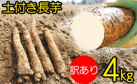 変色しない！ 訳あり 土付き 長芋 4kg 【ながいも一筋 マル庄】 ／ とろろ 山かけ 訳アリ