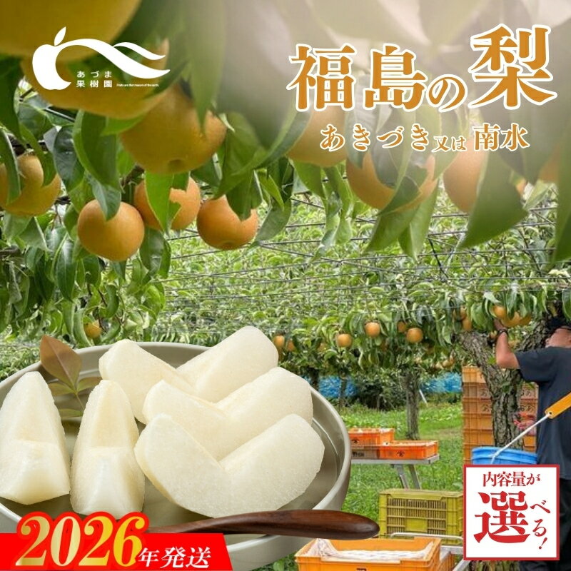 【ふるさと納税】あづま果樹園　梨　品種おまかせ　あきづき　又は　南水　選べる 容量 約2kg 約3kg 約5kg 約10kg【2026年発送】和梨 赤梨 晩生 福島市 福島 旬 玉数 お任せ