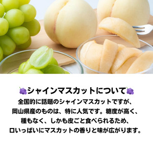 詰合せ 白桃 晩生種 2玉 シャインマスカット 1房 合計約1.0kg 岡山県産 【先行予約 2025年8月下旬から順次発送】