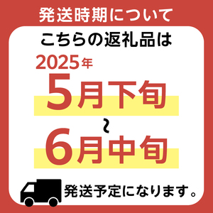 【先行受付 2025年5月下旬～6月中旬発送予定】『房州枇杷（ビワ） 2Lサイズ12粒入』完熟枇杷を農家から直送！ mi0039-0015 びわ 完熟 農家直送 ﾌﾙｰﾂ 果実