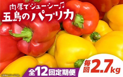 【12回定期便】 【肉厚パプリカ】五島のパプリカ 約2.7kg 五島市/HPIファーム [PCP006] 野菜 やさい 国産 新鮮 緑黄色野菜 産地直送 とれたて