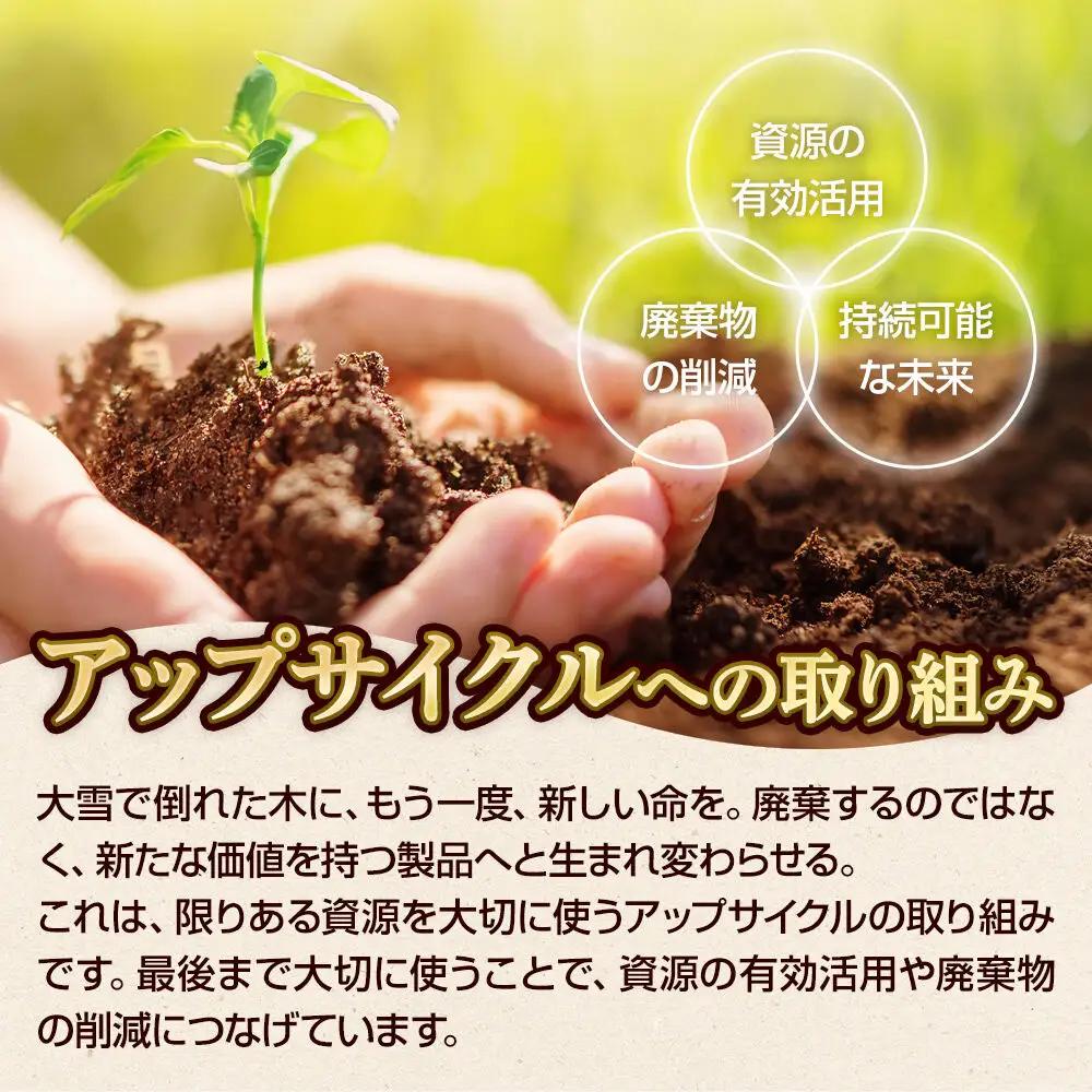 弘前公園の木で作ったボールペン【松】1本 数量限定 青森県 弘前市