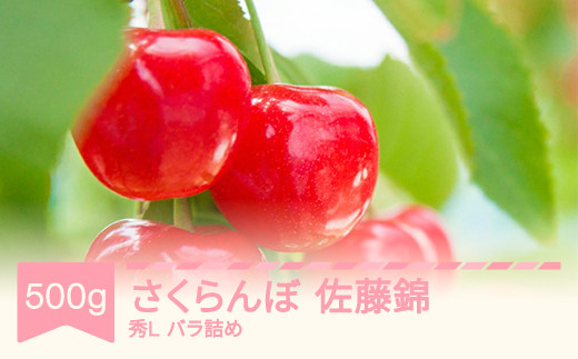 【先行予約】 さくらんぼ 佐藤錦 秀Lサイズ バラ詰め 500g 2027年産 令和9年産 山形県産 果物 ns-snslb500