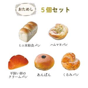 【定期便6回】冷凍米粉パン お試し5個セット | 穴太商店 あのう パン 米粉パン ぱん 米粉 冷凍 冷凍食品 詰合せ セット 5種 自家製 おためし オススメ 千葉県 君津市 きみつ
