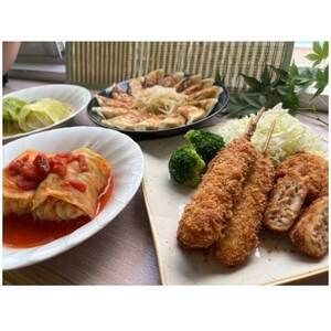 【湖西ポーク使用】冷凍餃子・冷凍串カツ・冷凍ロールキャベツ・冷凍ミニメンチカツ　絶品4点セット【配送不可地域：離島】【1700008】