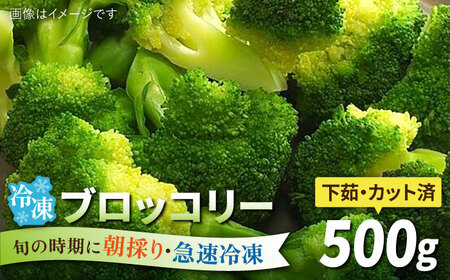 ブロッコリー 500g 冷凍 旬の時期に急速冷凍 【福岡県糸島産】 糸島市 / オーガニックナガミツファーム 野菜 	[AGE043]