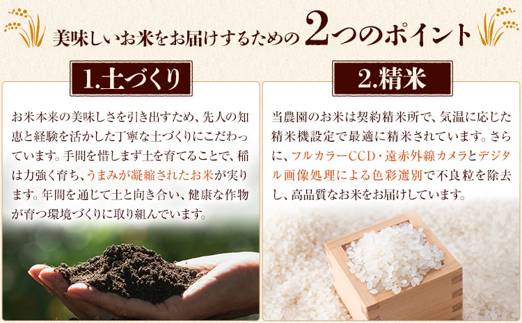 七城のお米 ヒノヒカリ 5kg 真空パッケージ 白米 精米 令和7年産 堀田農場《30日以内に出荷予定(土日祝除く)》お米 ひのひかり 熊本県 菊池市 熊本県産 九州産 送料無料---030-2624