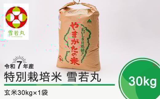 新米 米 令和7年11月下旬発送 雪若丸30㎏ 玄米  令和7年産 ja-yugxa30-11s