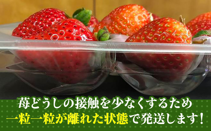 【2月上旬より発送】農家直送 朝採り新鮮いちご【博多あまおう】約270g×4＜株式会社H&Futures＞那珂川市 [GDS004]