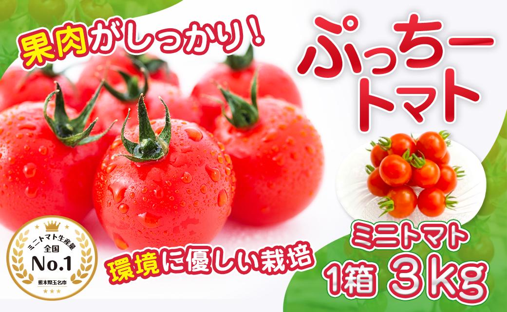
            ぷっちートマト ミニトマト 3kg | 野菜 やさい ミニトマト ミニ とまと トマト 3kg リコピン 熊本県 玉名市
          