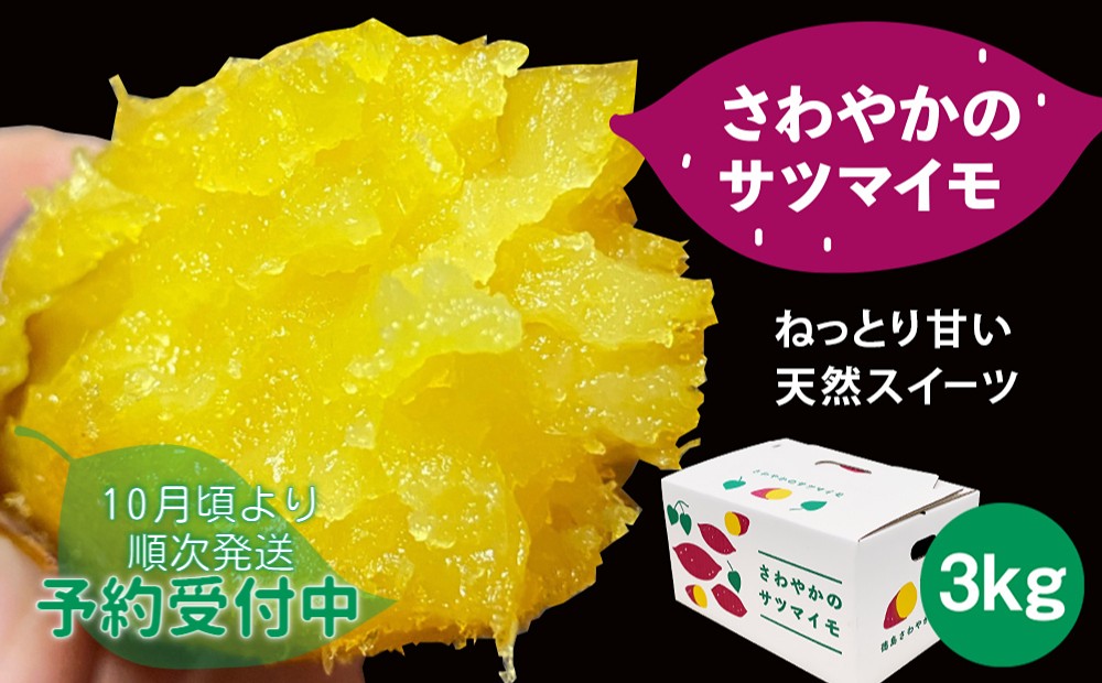 
                  【予約受付中・2026年10月頃より順次発送】さわやかのサツマイモ　3kg　ねっとり 甘い  鳴門　さつまいも　国産 スイーツ 焼き芋 焼芋　天ぷら 干し芋
                