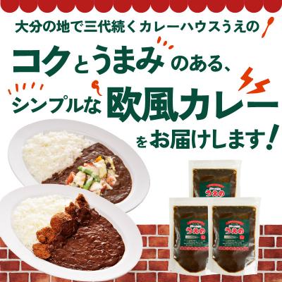 ふるさと納税 大分市 九州クラフト うえの焙煎ビーフカレー 冷蔵 3袋_K03040 |  | 01