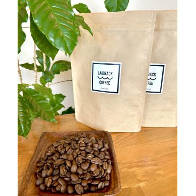 ふるさと納税 宮崎市 レイドバック珈琲　自家焙煎スペシャルティコーヒー ブレンドコーヒー豆250g×2種セット(豆)