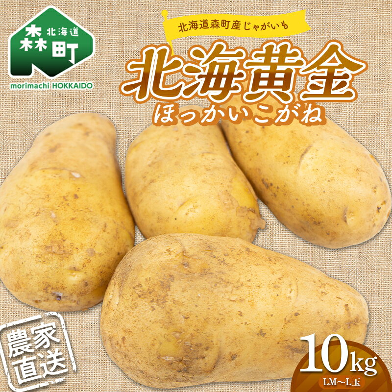 【ふるさと納税】【先行予約】希少！北海道森町産じゃがいも「北海黄金ほっかいこがね」LM～L玉 約10kg（2026年9月より順次発送） ＜株式会社 商舎＞ じゃがいも ジャガイモ 北海黄金 ほっかいこがね 北海道産 ふるさと納税 北海道 森町 mr1-1341
