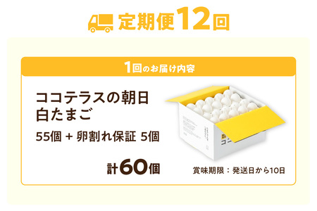 【12ヵ月定期便】ココテラスの朝日（白たまご）55個 + 5個保証（計60個）【JGAP認証】 農家直送 新鮮 卵 タマゴ 白卵 玉子 鶏卵 朝食 夕食 夜食 朝ごはん たまご焼き だし巻き卵 オムレ