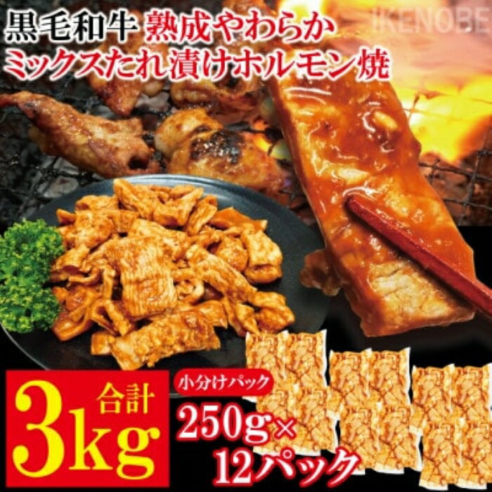 【ふるさと納税】黒毛和牛熟成やわらかミックスたれ漬けホルモン焼 直営焼肉店の味3kg[250g×12P] 牛肉 黒毛和牛 和牛 ホルモン ミックス 熟成 たれ漬け タレ 味付け肉 焼肉 小分け 惣菜 おかず 弁当 冷凍 【そうざい男しゃく（株式会社池延）】 【ho1493】