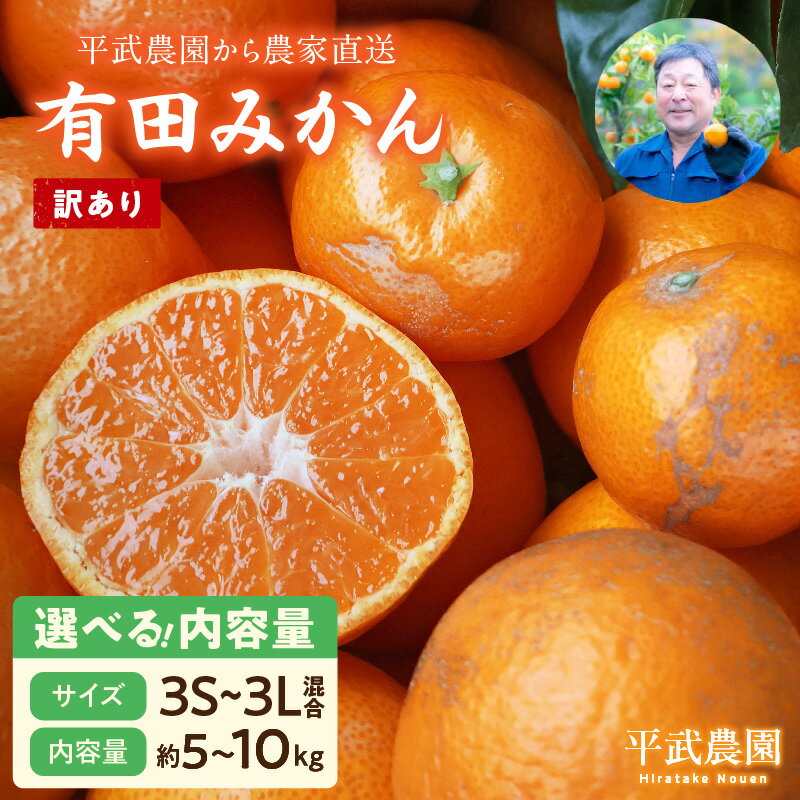 【ふるさと納税】【平武農園より農家直送！】 有田みかん 訳あり 3S ～ 3L 選べる 内容量 5kg 10kg ミカン 柑橘 フルーツ 温州みかん 濃い 甘さ 酸味 濃厚 農家直送 こだわり 和歌山 有田 田口みかん 田口地区 和歌山県 湯浅町 送料無料