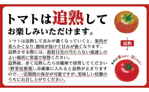 《 2027年 収穫分 》2～6月配送 スーパーフルーツトマト 小箱 約800g × 2箱  (7～13玉/1箱) 糖度9度以上 先行予約 茨城県 桜川市 KEK 国産 トマト フルーツトマト ブランドトマト 野菜 ギフト 贈答 青空レストラン アド街ック天国 グッドモーニング 黄金のワンスプーン 昼めし旅 [BC016sa]