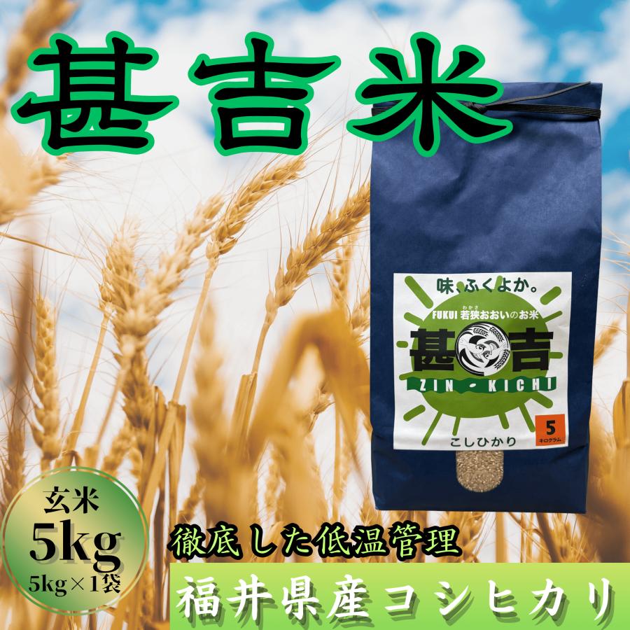 ふるさと納税 おおい町 【毎月定期便】＜下旬発送＞福井県おおい町産 甚吉米(コシヒカリ・玄米)5kg×1袋全6回