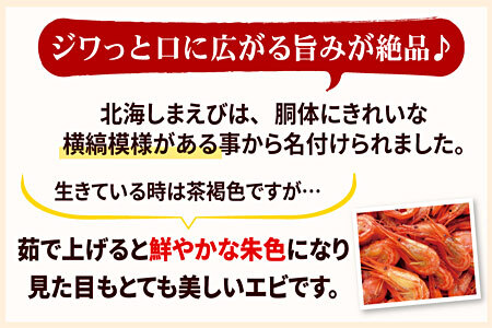 【北海道根室産】北海シマエビ1kg(160～180尾) A-07012【12月20日決済分まで年内配送】