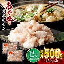 【ふるさと納税】【全12回定期便】熊本県産 あか牛 白 ホルモン 合計6kg(250g×2P) 熊本 赤牛 褐牛 あかうし 褐毛和種 肥後 冷凍 国産 牛肉【五右衛門フーズ】[YBZ020]