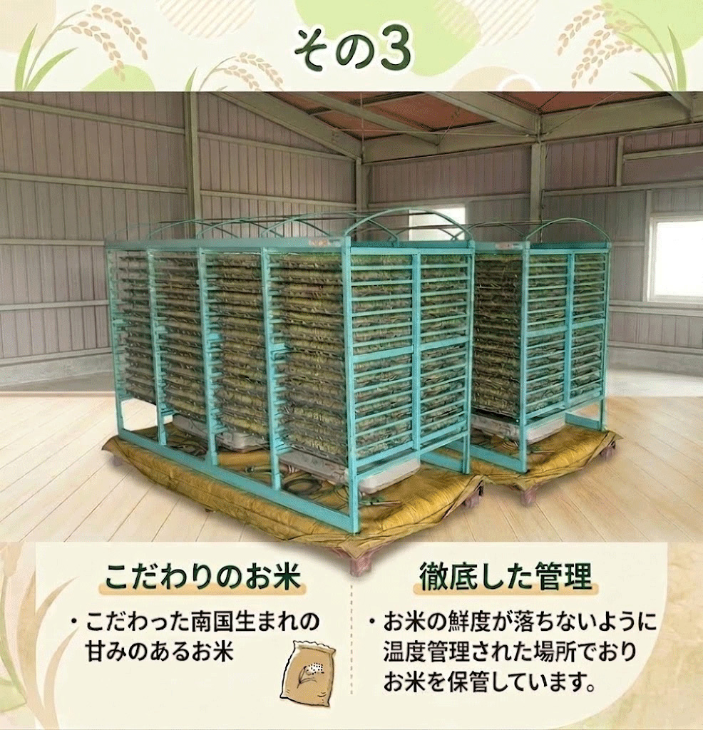【先行予約】 新米 ミルキークイーン 白米 5キロ 5㎏ 数量限定 米 コメ お米 精米 ごはん こめ ご飯 おにぎり こめ ライス 令和8年度 農家直送 産地直送 ふるさと納税 高知県 南国市