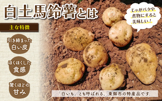 【先行受付2026年発送】東御市産白土馬鈴薯約10kg ※2026年8～12月お届け