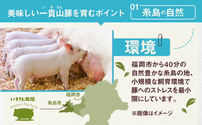 一貴山豚 ロースしゃぶ用 計1kg(250g×4p) 糸島市 / いきさん牧場 豚肉 冷凍 [AGB045]