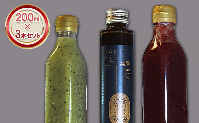 【美濃】フルーツソースとクラフトコーラのセット 加工食品 イいちごソース ストロベリー キウイソース コーラシロップ 