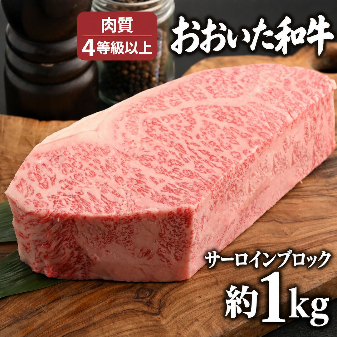 【ふるさと納税】おおいた和牛 サーロイン ブロック 1kg | 和牛 サーロインステーキ ステーキ 肉 ローストビーフ 国産 国産牛 牛肉 九州 大分県 津久見市