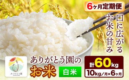 白米【6ヶ月定期便】令和7年産 ありがとう園のお米 10kg《お申込み月の翌月から出荷開始》