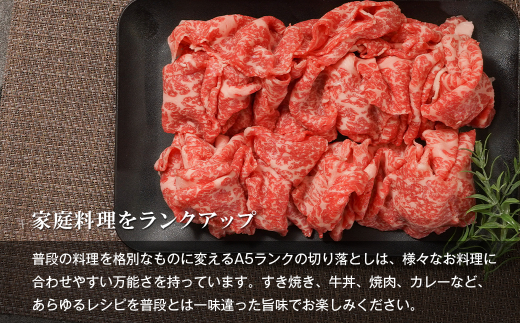 【A5ランク限定】淡路島産黒毛和牛 切り落とし 500g【神戸牛】    切り落とし 牛肉  高級 神戸牛
