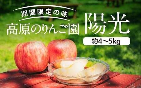 りんご陽光中箱（4～5kg） 10～12個入り ｜ 正岡観光りんご園 愛媛県 久万高原町産 りんご リンゴ 林檎 くだもの 果物 フルーツ 旬 ※2025年10月上旬～10月下旬頃に順次発送予定