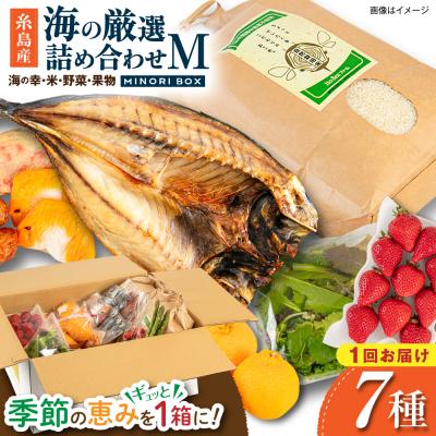ふるさと納税 糸島市 糸島産 魚 米 野菜 果物 厳選詰め合わせ MINORI BOX M [AOP023]