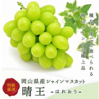 【ふるさと納税】岡山県産 シャインマスカット『晴王』1房(800g以上) 化粧箱入り【配送不可地域：離島】【1546683】