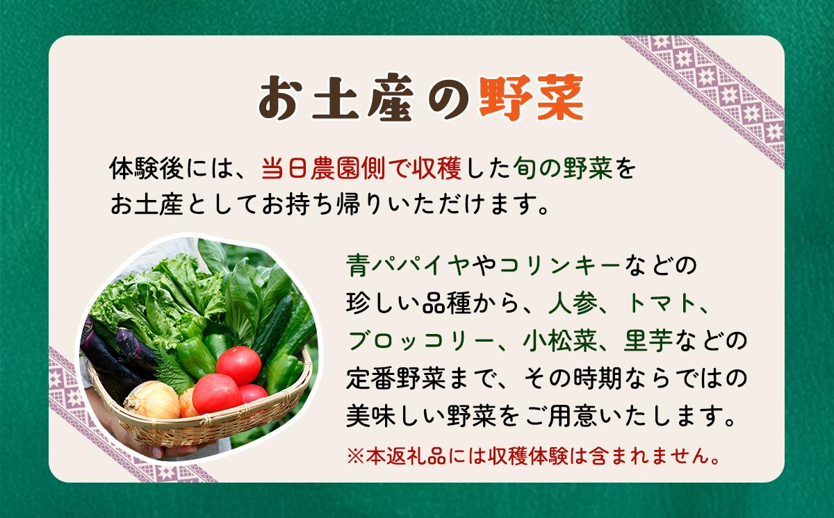 農業体験チケット（2時間／2名）+お土産野菜付き 1枚【 農業体験 体験 野菜 農作業 家族 親子 畑 お土産 】
