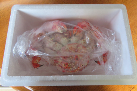 [12月21日決済分まで年内配送]【北海道根室産】ボイル冷凍花咲がに600g×1尾 A-59019