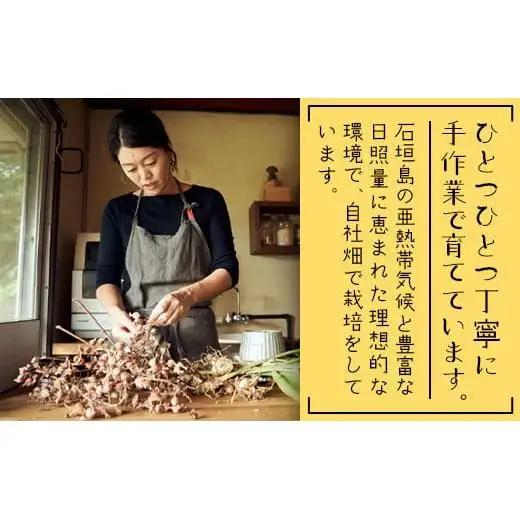 カレーリーフの種　15粒　CS-4