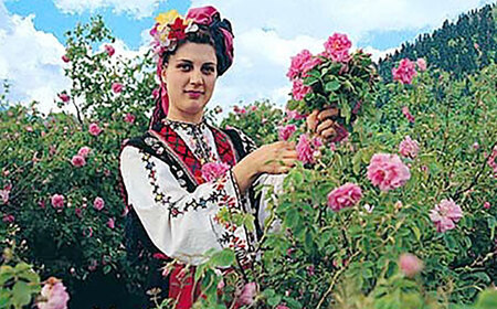 ＜新感覚！バラの香りにつつまれるお酒＞マリーアントワネット 500ml×2本入 佐賀県/株式会社Rose [41AAAS011]