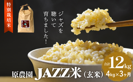 令和7年度産 原農園 JAZZ米 (玄米) 4kg にこまる 3ヶ月 定期便 JAZZ米 JAZZ 玄米 原農園 米 銘柄米 きりかぶ山 水 肥料 有機質肥料 特別栽培米 抗酸化農法 光合成細菌 堆肥 アートテン農法 有効微生物農法 健康 食品 完熟堆肥