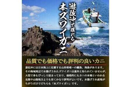 1138　遊佐沖　春のボイル・本ズワイガニ 1匹500g程度