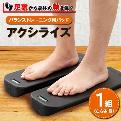 ふるさと納税 安城市 アクシライズ