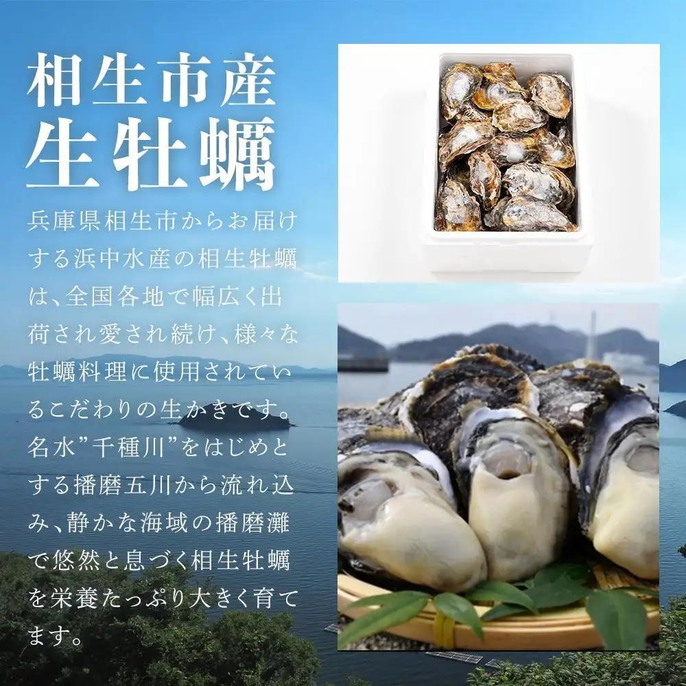 【先行予約】殻付き生牡蠣 2.5kg【漁師直送！】