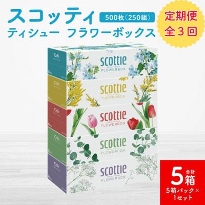 ふるさと納税 八代市 【毎月定期便】【スコッティ】ティシュー フラワーボックス 250組(5箱パック×1 合計5箱)全3回
